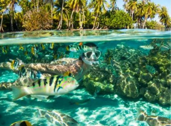 Expo : la biodiversité du Pacifique