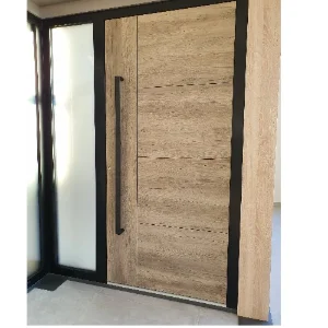 PORTES ENTREE