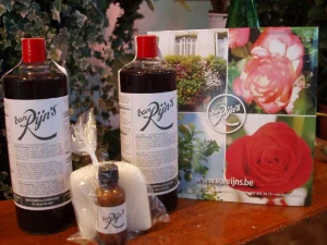 Engrais van Rijn's