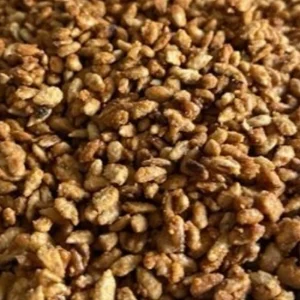 Pralines Graines de Tournesol