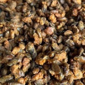 Pralines Graines de Courge