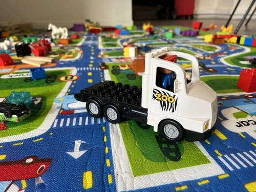 FIM 2025-19